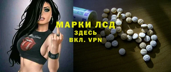 крисы Елабуга