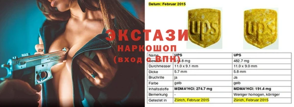 крисы Елабуга