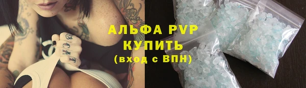 крисы Елабуга