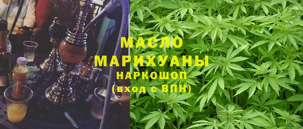 крисы Елабуга