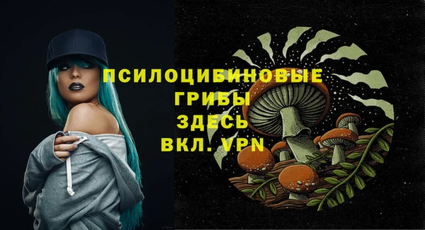 герыч Ельня