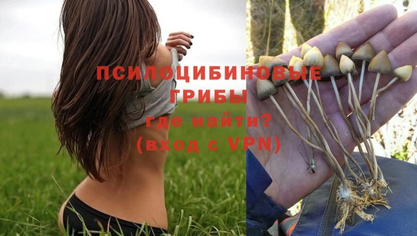 кокаин Елизово