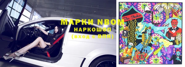 крисы Елабуга