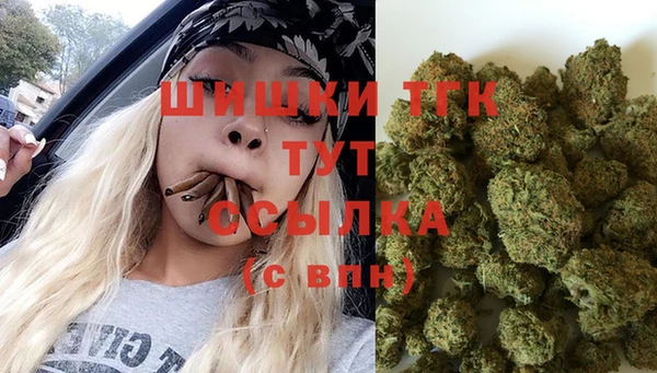 герыч Ельня