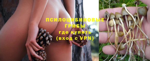 герыч Ельня