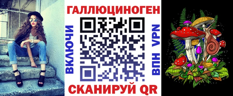 Псилоцибиновые грибы Psilocybe  Черкесск 